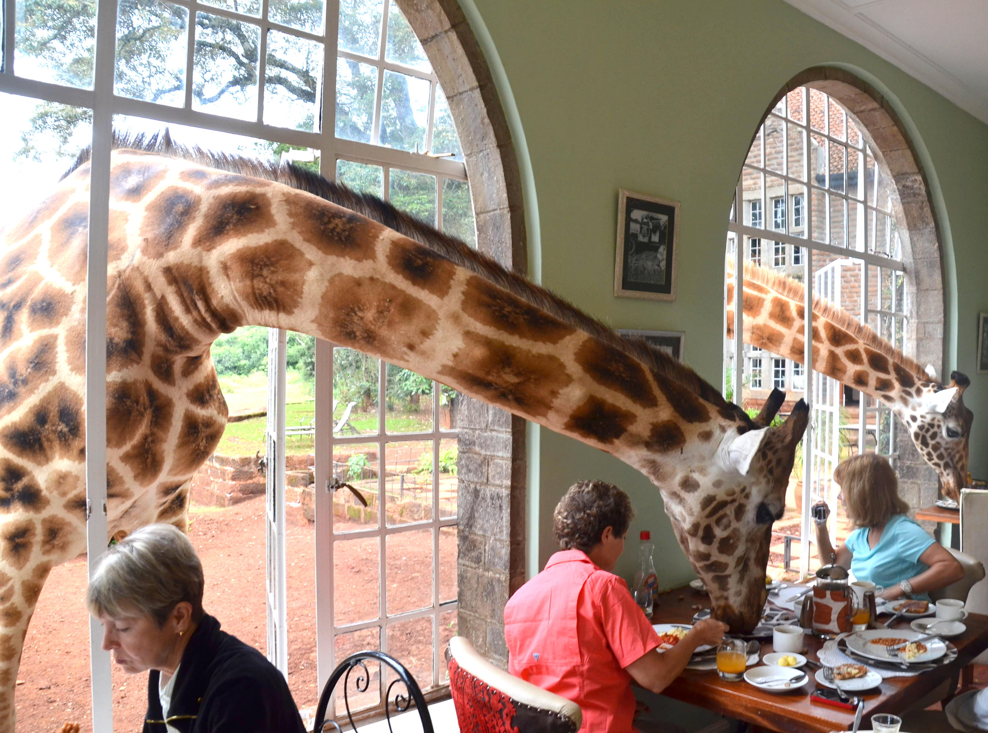 10 самых необычных отелей мира - Giraffe Manor