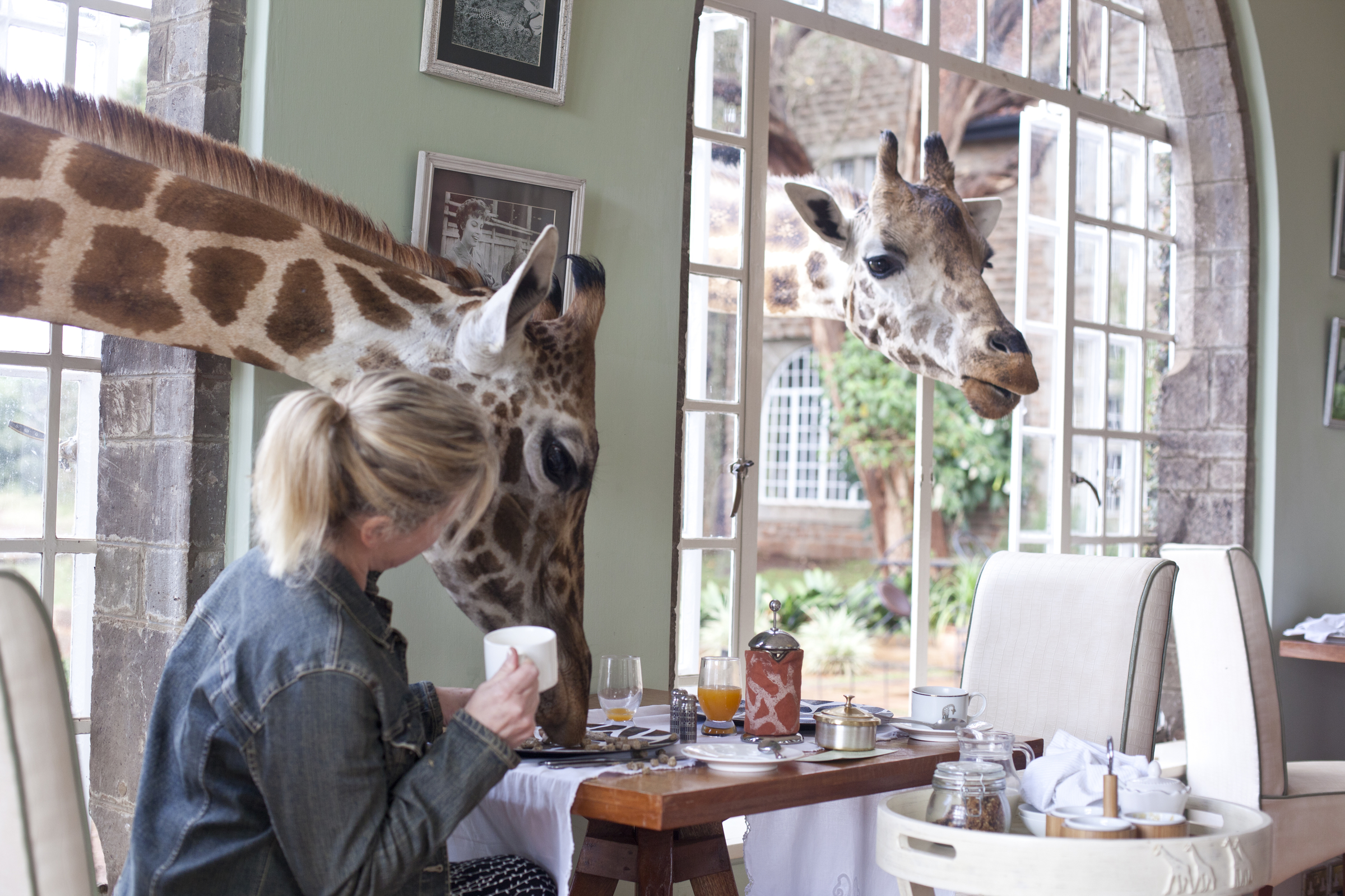 10 самых необычных отелей мира - Giraffe Manor