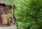 Нетронутое временем величие природы, окружающей домик Silo в Тирингеме, Массачусетс, США