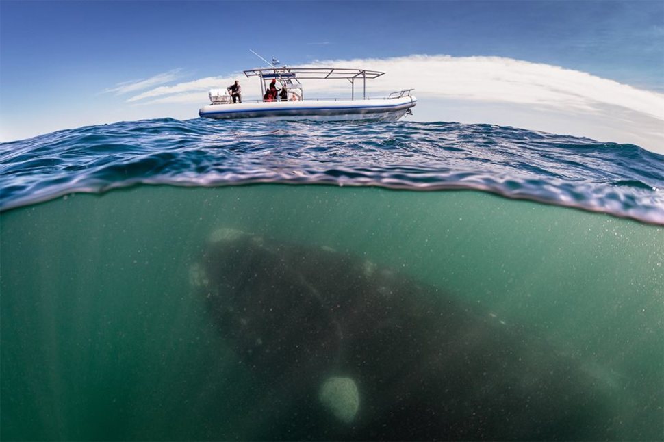 Картинки страшные морей и океанов (65 фото)