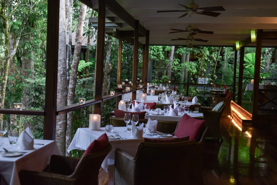 Silky Oaks Lodge — сон в пышных тропических лесах