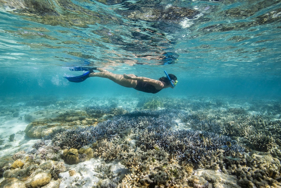 Reefsuites — подводный отель на Большом Барьерном Рифе
