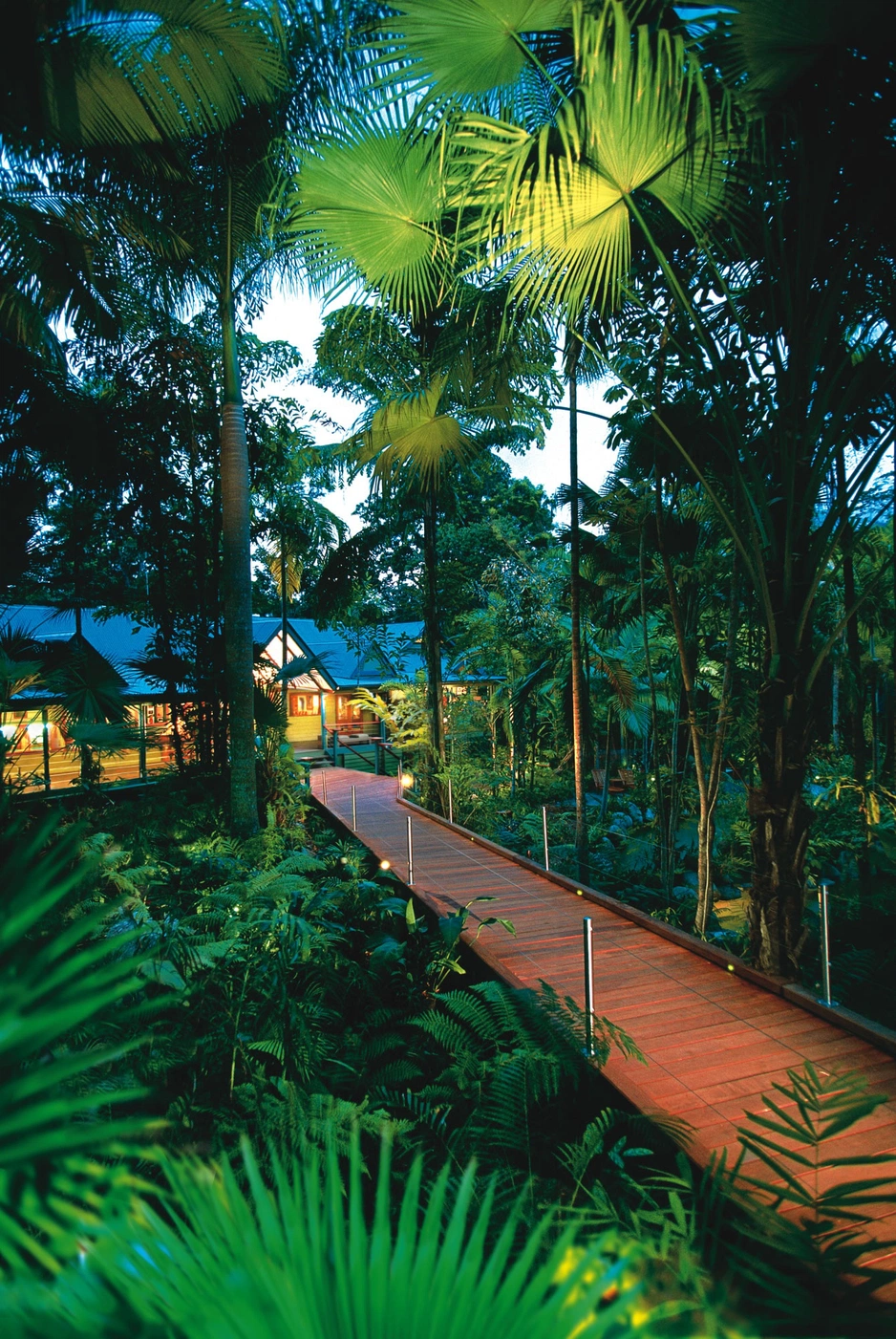 Silky Oaks Lodge — сон в пышных тропических лесах
