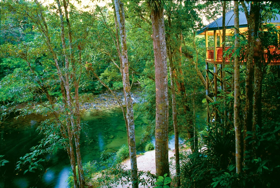 Silky Oaks Lodge — сон в пышных тропических лесах
