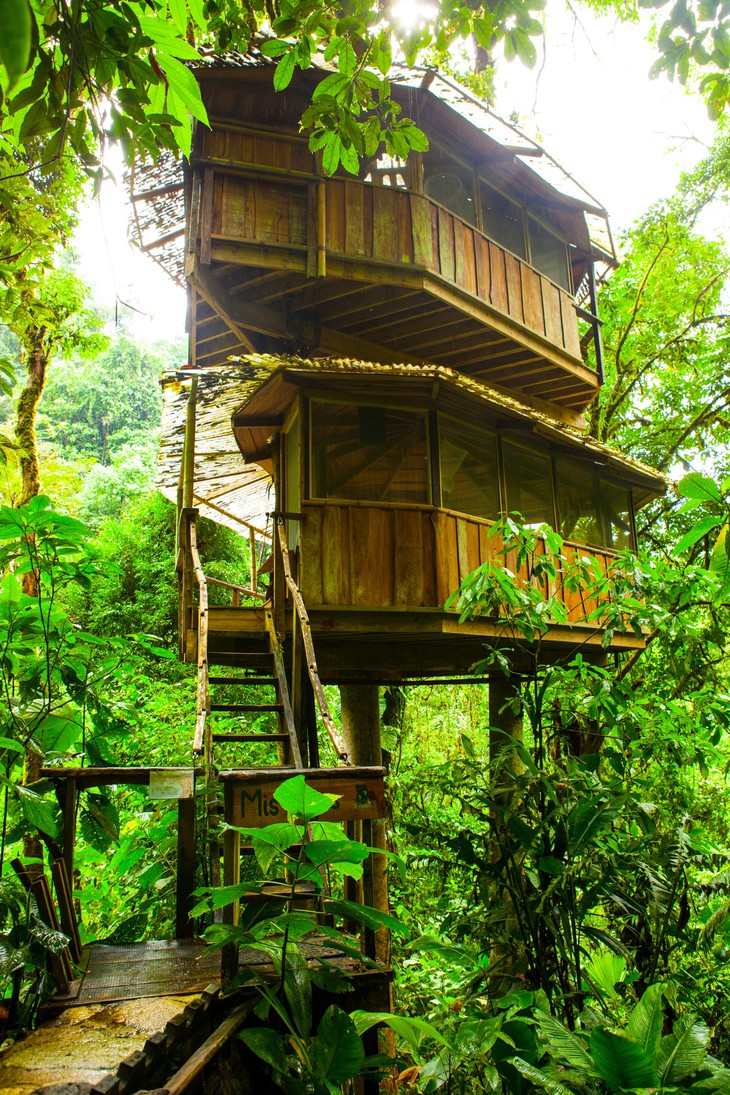 Дома на деревьях: нетрадиционный отельный комплекс Finca Bellavista в Коста-Рике