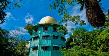 The Canopy Tower - подходящее место понежиться в гамаке прямо посреди джунглей