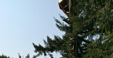 Cedar Creek Treehouse - необычный отель на стволе 200-летнего кедра