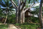 Потерянный рай в джунглях Танзании - отель Chole Mjini Lodge