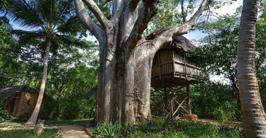 Потерянный рай в джунглях Танзании - отель Chole Mjini Lodge