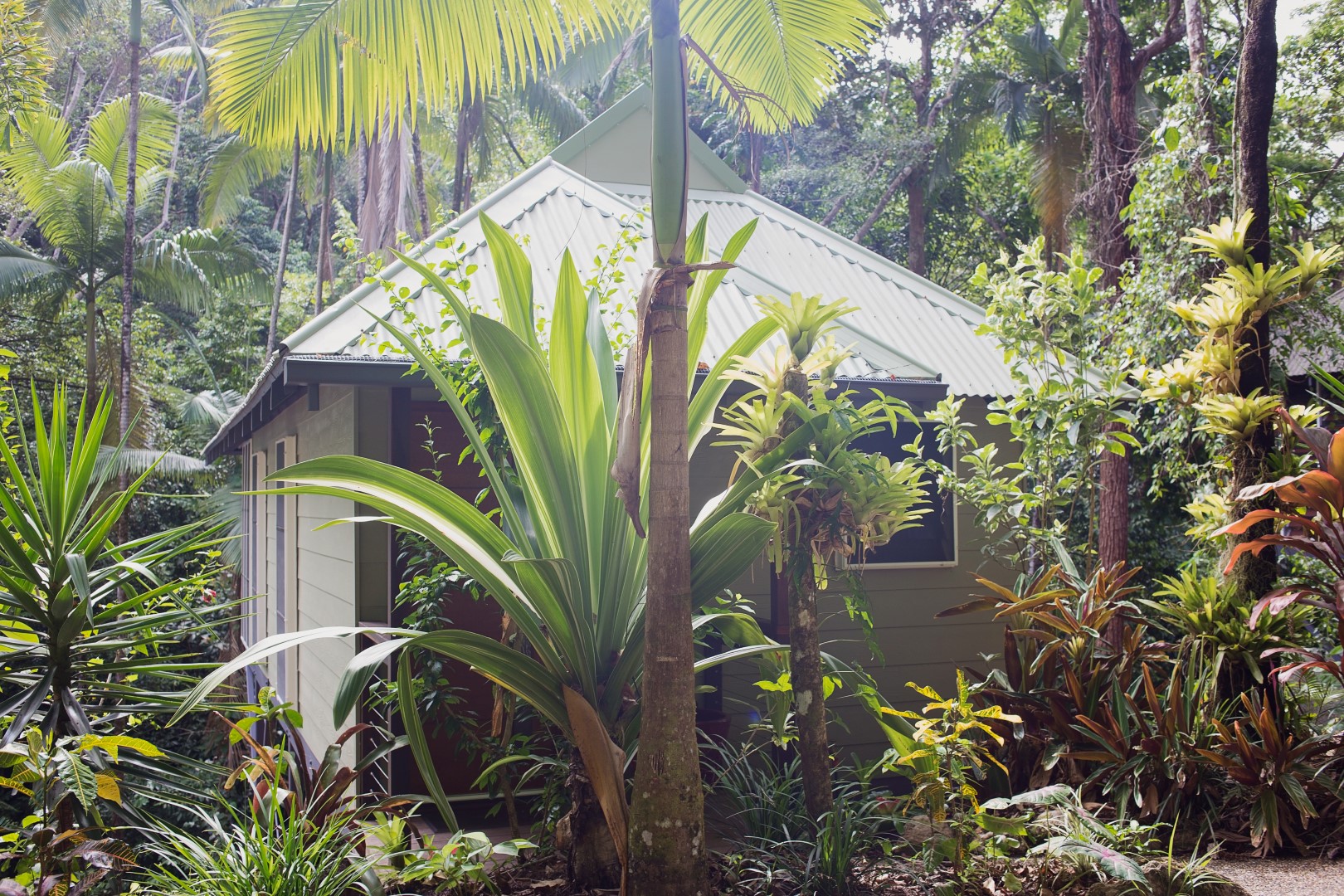 Daintree Eco Lodge: спа отель в сердце австралийских тропиков