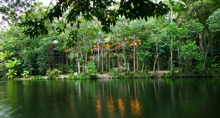 Silky Oaks Lodge — сон в пышных тропических лесах