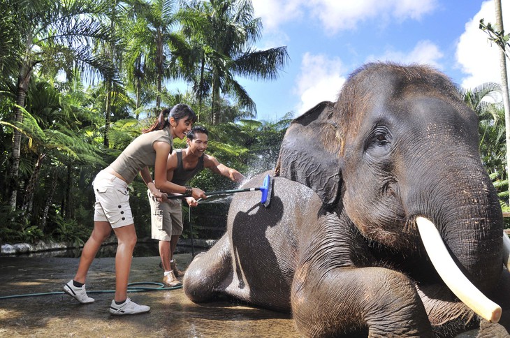 Мойка слона в Elephant Safari Park Lodge на Бали