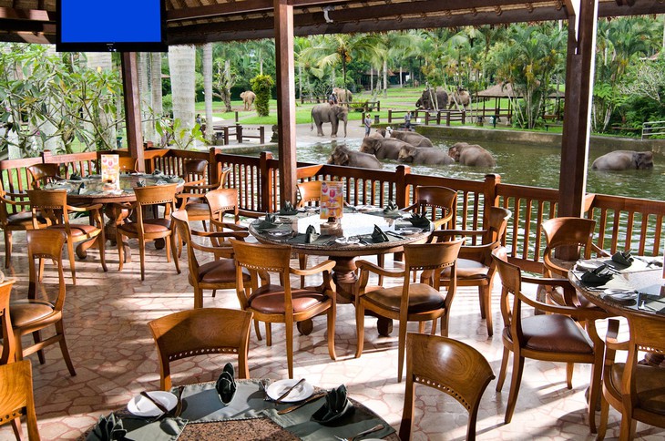 Ресторан отеля Elephant Safari Park Lodge на Бали