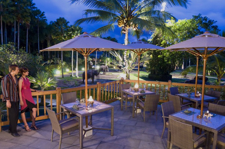 Ресторан на террасе отеля Elephant Safari Park Lodge на Бали