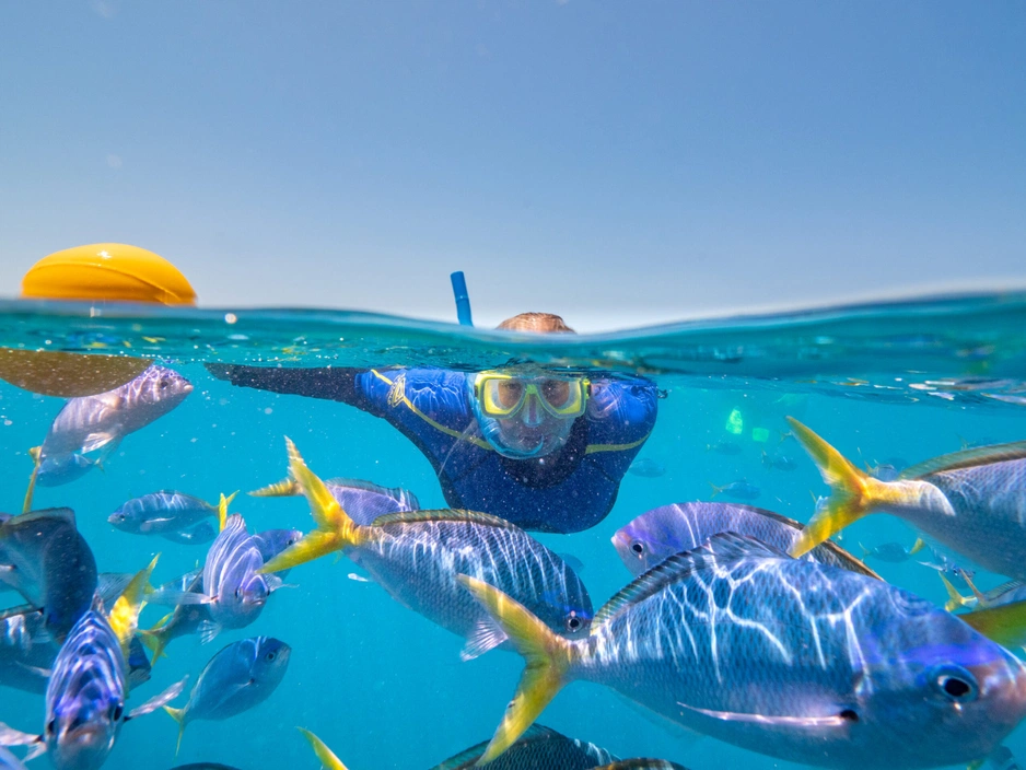 Reefsuites — подводный отель на Большом Барьерном Рифе