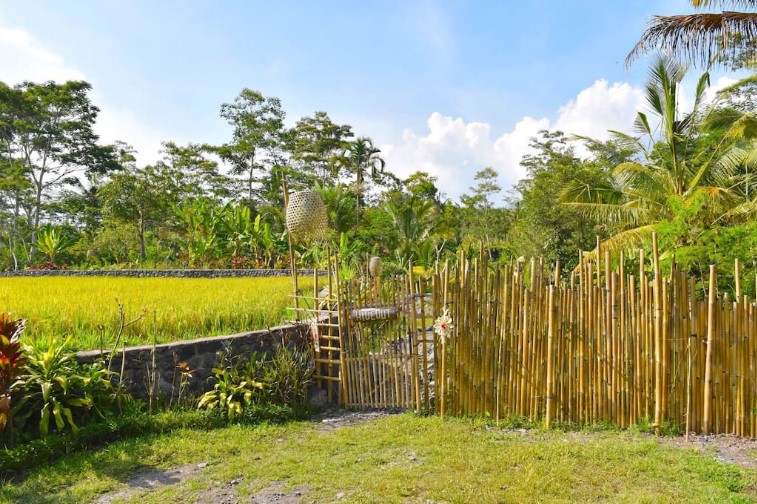Hideout Bali: уединённый эко отель для искателей приключений в тропическом лесу