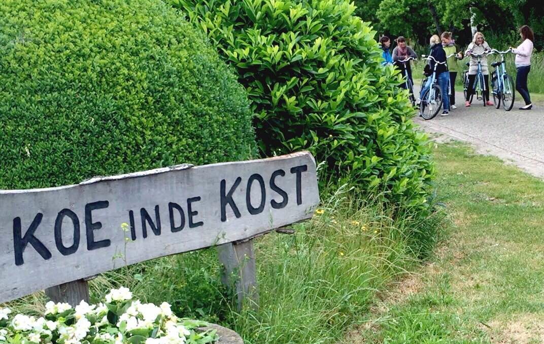 Koe in de Kost: зелёный отель на лугу в Хеетене, Нидерланды