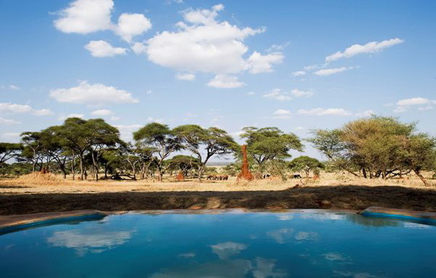 Красивые бассейны - в заповеднике Swala