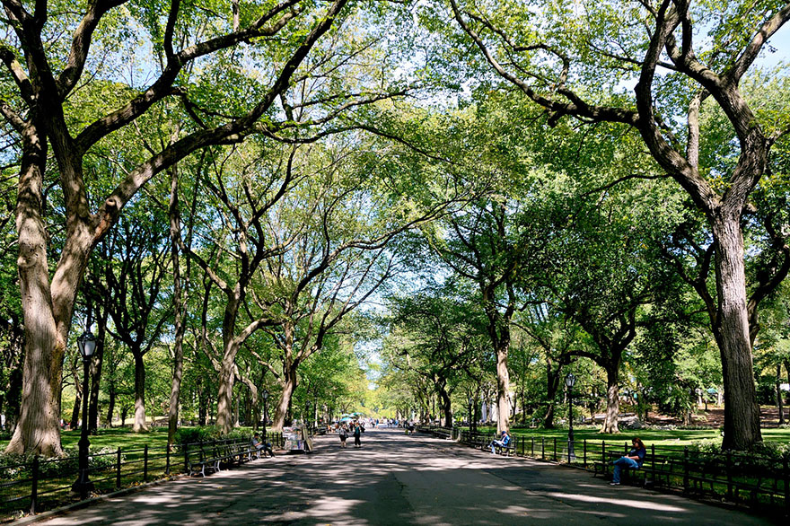 Красивые места планеты - Центральный Парк в Нью-Йорке