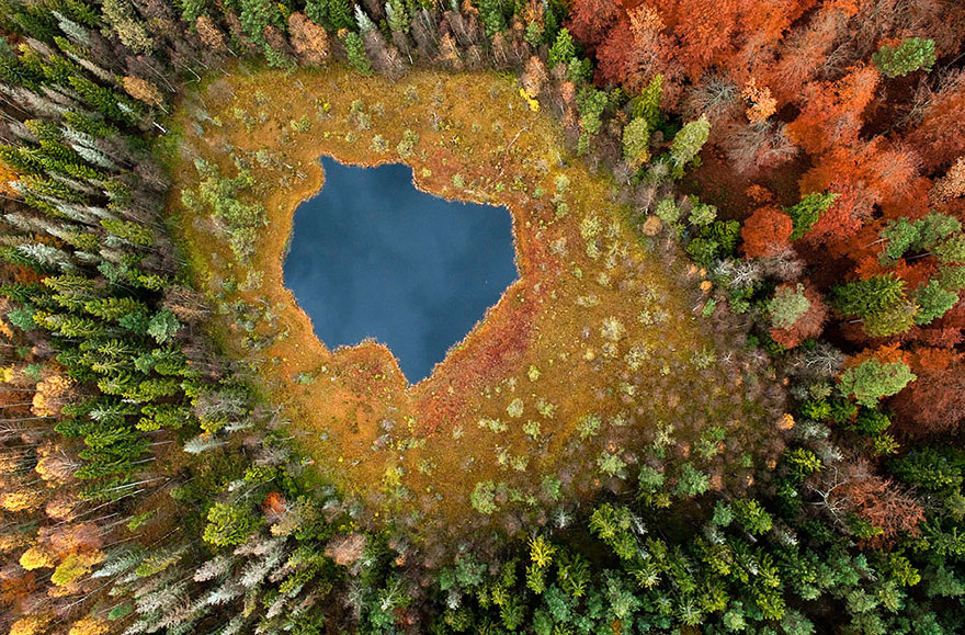 Красивые места планеты - лесное озеро в Польше