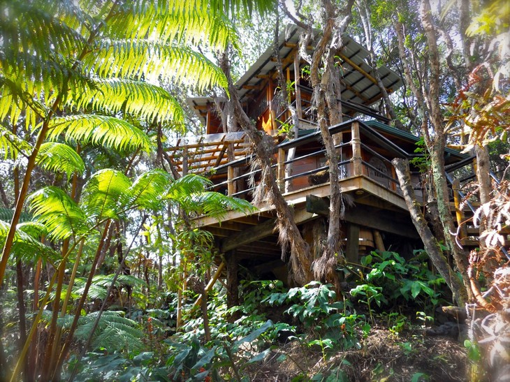 Отель на дереве Mahinui na Lani на Гавайях: побег от повседневности под пение птиц
