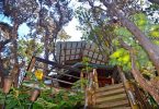 Отель на дереве Mahinui na Lani на Гавайях: побег от повседневности под пение птиц
