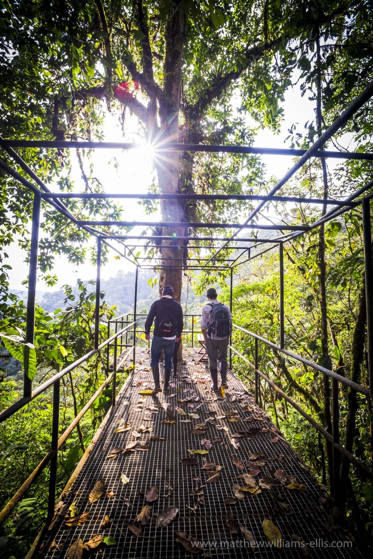 Mashpi Jungle Lodge: отель в джунглях в Кито, Эквадор