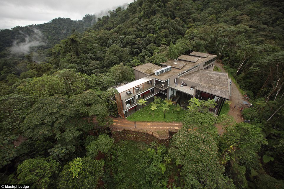 Mashpi Jungle Lodge: отель в джунглях в Кито, Эквадор