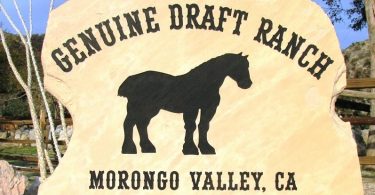 Genuine Draft Horse Ranch: отель на ранчо с разнообразной программой мероприятий