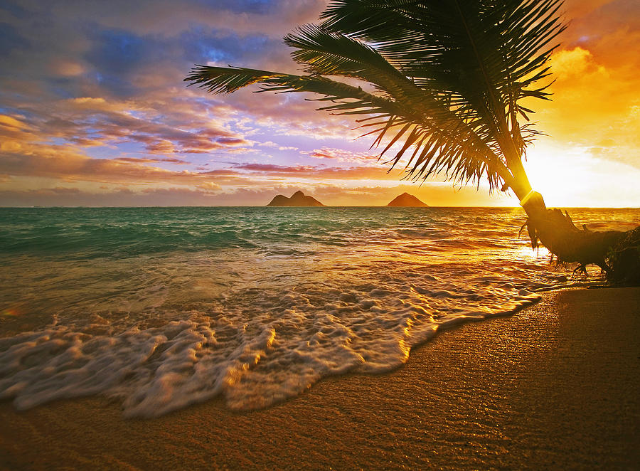 Самые лучшие места для отдыха - пляж Lanikai на Гавайях