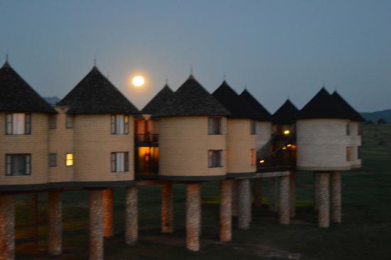 Sarova Salt Lick Game Lodge: экзотический отель в Кении для волшебного отпуска