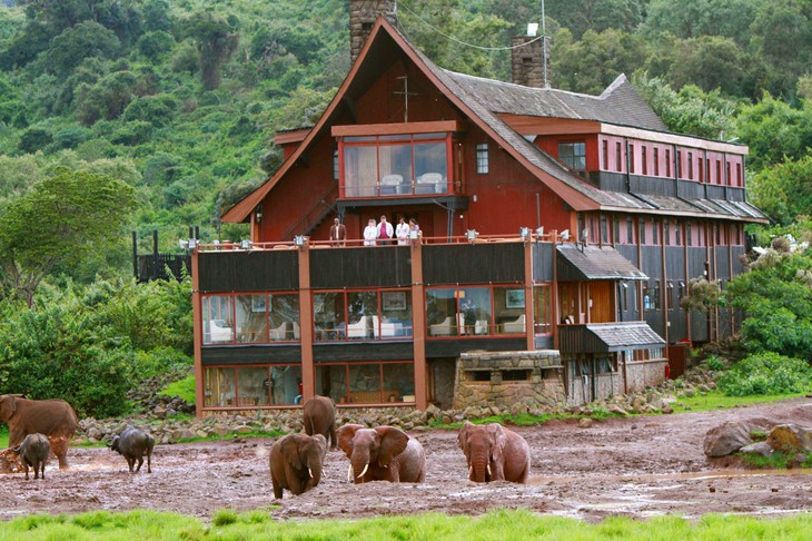 The Ark: необычный отель в Кении в виде Ноева Ковчега с видом на водопой