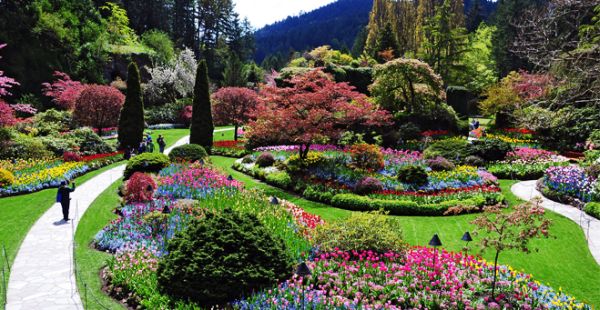 Сады Butchart на острове Ванкувер