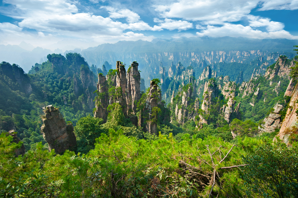Достопримечательности мира - каменный лес в Китае