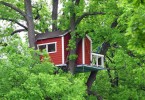 Удивительный Woodpecker Hotel на дубе в городском парке